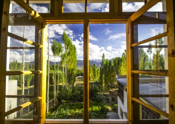 Cost of Wood Window Replacement in Battle Ground