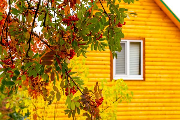 Cost of Garden Window Replacement in Battle Ground